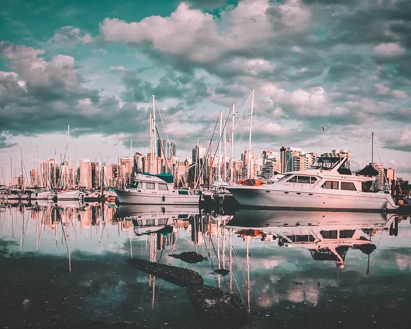 boats in a marina with a city in the background