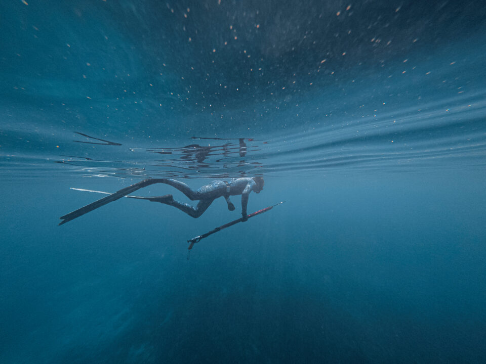 Sailboat fishing: expert tips on fishing from a sailboat - Waterborne